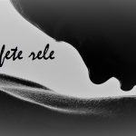 varianta logo site cu text