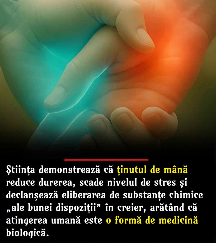 ținut de mână, gest, mâini, corp