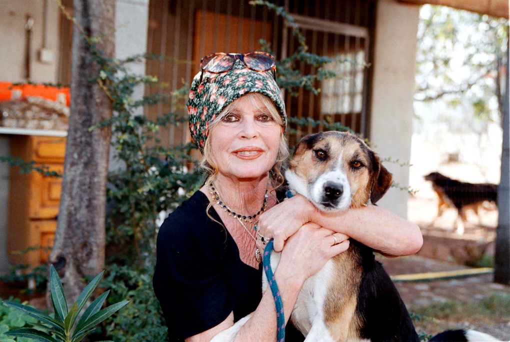 Brigitte Bardot – o viață în imagini: carieră, iubiri și pasiuni