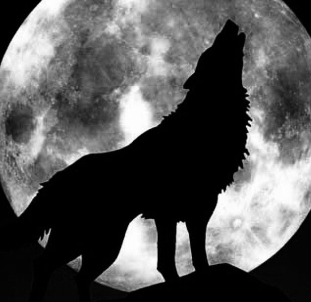 3 ianuarie - Luna Plină a Lupului! Urletul lupului este strigătul victoriei pentru 3 zodii. Ele vor veni, vor iubi și vor cuceri!