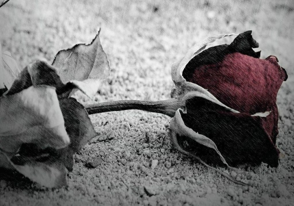 7 semne tăcute care pot apărea înainte de m@arte. Ce spun specialiștii în îngrijiri paliative despre ultimele schimbări ale corpului