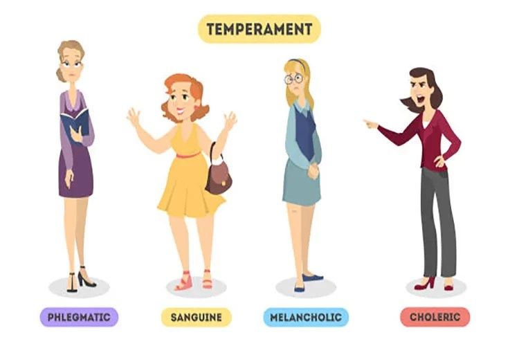 Cele patru tipuri de temperament: tu care ești?