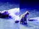 Pisica care a distrus cel mai trist final din „Romeo și Julieta”. Momentul viral care a făcut milioane de oameni să râdă