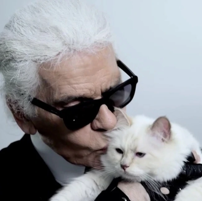 Choupette, pisica milionară care a primi 1,5 milioane de dolari de la Karl Lagerfeld riscă să ajungă la sapă de lemn