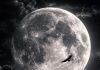 LUNA PLINĂ RĂSTOARNĂ TOTUL? Ce se întâmplă pe 25–26 octombrie 2026 și ce semnificație îi atribuie astrologii