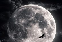 LUNA PLINĂ RĂSTOARNĂ TOTUL? Ce se întâmplă pe 25–26 octombrie 2026 și ce semnificație îi atribuie astrologii